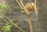 leipzig zoo-01_07_2011_zoo_allgemein_411